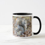 Squirrel Mug<br><div class="desc">This coffee mug features a cute squirrel on both side, perfect for animal and squirrel lovers. Several mug styles available. Cute Gray Squirrel © 2004 Penny Westbrook</div>