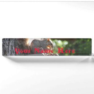 Squirrel Name Plate