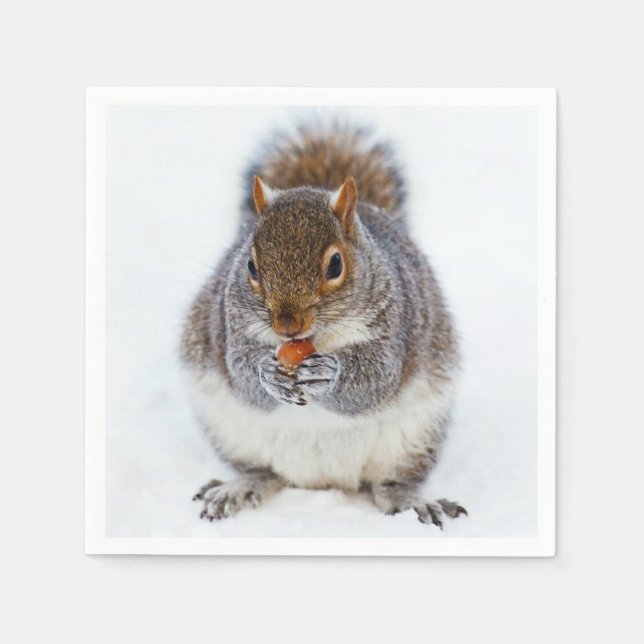 Squirrel Napkins (Front)