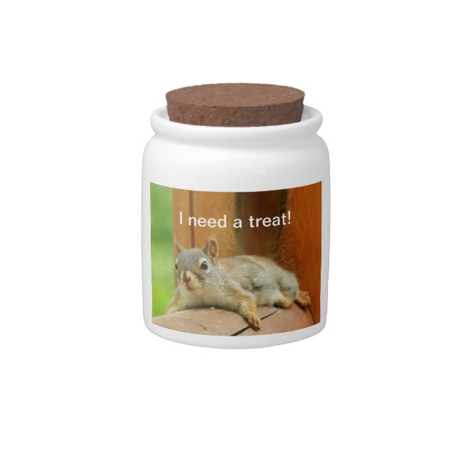 Squirrel needs a treat candy jar (Front)