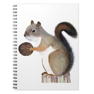 Squirrel Notebook