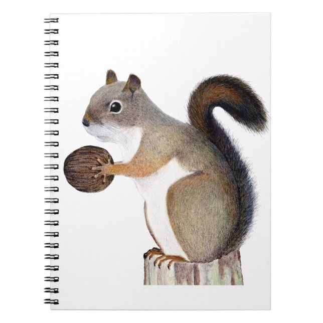 Squirrel Notebook (Front)