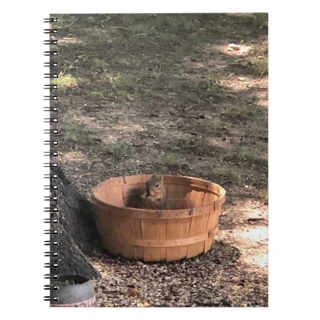 Squirrel  notebook (Front)