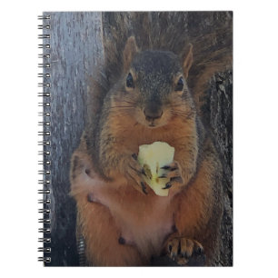 Squirrel notebook