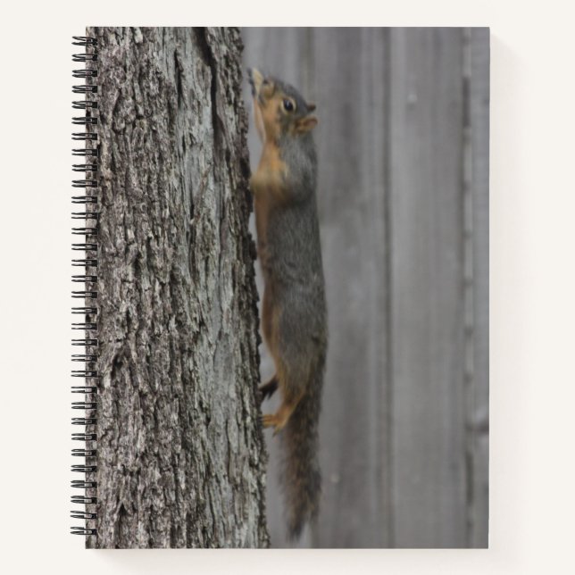 Squirrel Notebook (Front)