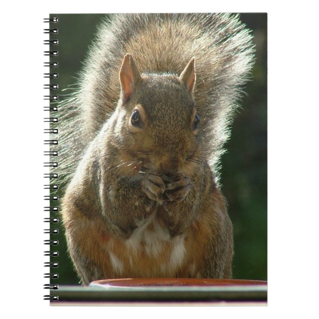 Squirrel Notebook (Front)