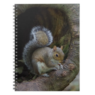 Squirrel Notebook