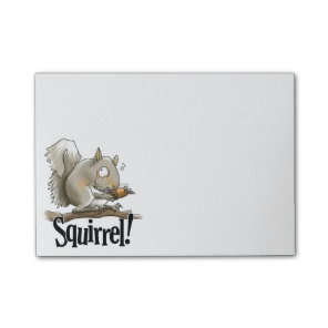 Squirrel Notes