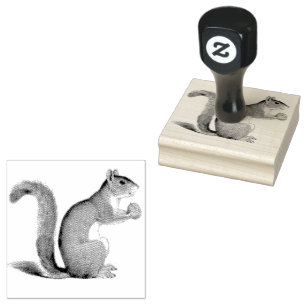 Squirrel Nut Vintage Ilustration Rubber Stamp