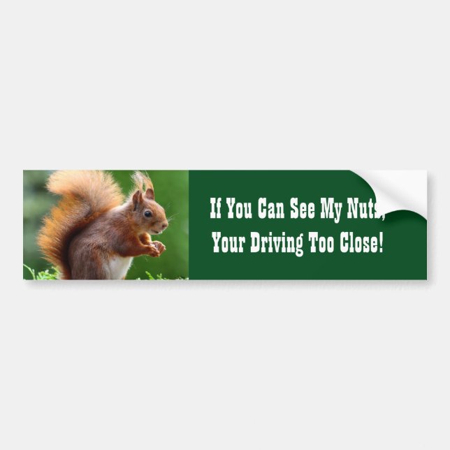 Squirrel Nuts Bumper Sticker (Front)
