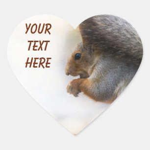 Squirrel on a bench and some nuts heart sticker