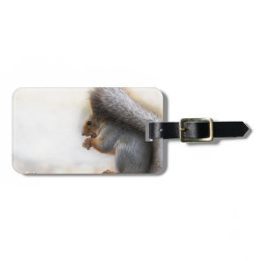 Squirrel on a bench and some nuts luggage tag