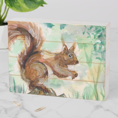 Squirrel on a Rock Wooden Box Sign