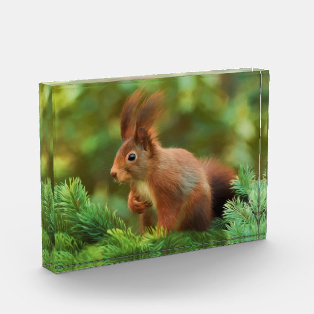 Squirrel on a tree acrylic award (Left)