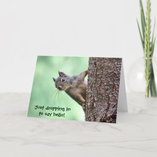 Squirrel On a Tree Card