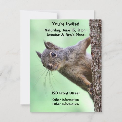 Squirrel On a Tree Announcements