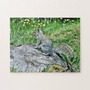 Squirrel on a Tree Stump Jigsaw Puzzle