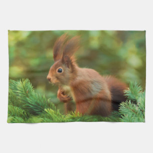 Squirrel on a tree towel