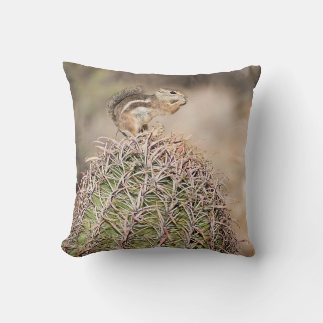 Squirrel on Barrel Cactus Throw Pillow (Front)
