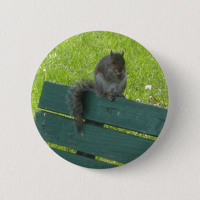 Squirrel on Bench Pinback Button (Front)