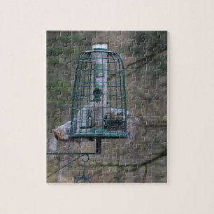 Squirrel on bird feeder jigsaw puzzle