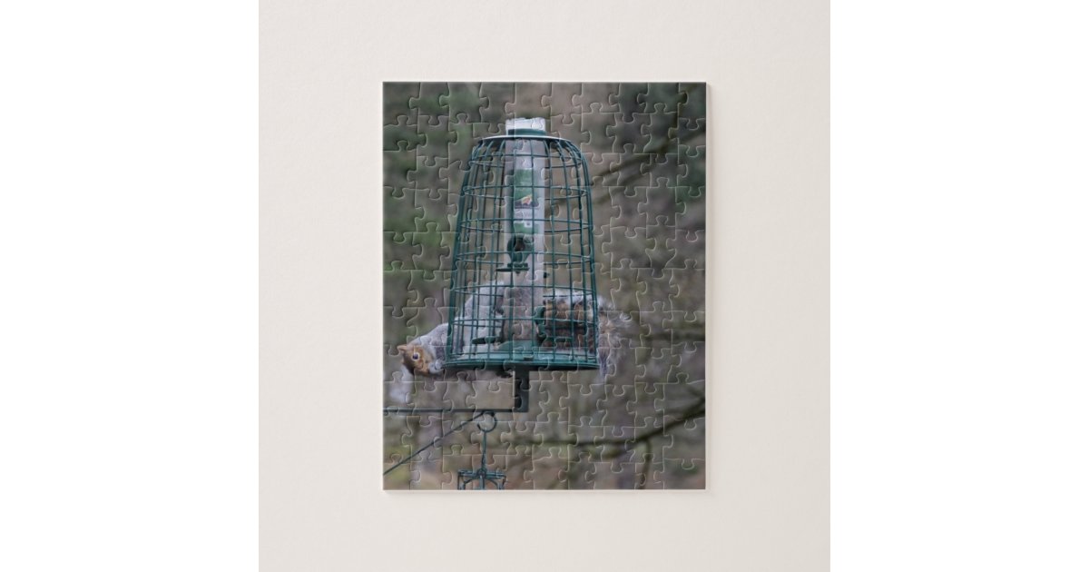 Squirrel On Bird Feeder Jigsaw Puzzle Zazzle Com