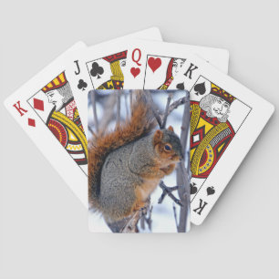 Squirrel on Branches Covered in Winter Snow Ice Poker Cards