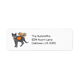 Squirrel on Cat with Pumpkin Address Labels
