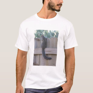 Squirrel on fence T-Shirt