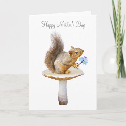 Squirrel on Mushroom Mothers Day Card