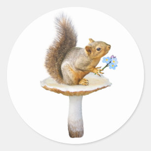 Squirrel on Mushroom with Flowers Stickers