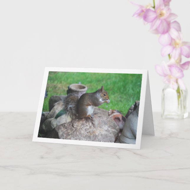 Squirrel on Rockery Card (Orchid)