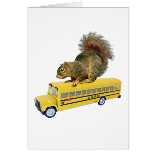 Squirrel on School Bus Cards (Front)