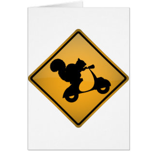 Squirrel on Scooter Cards