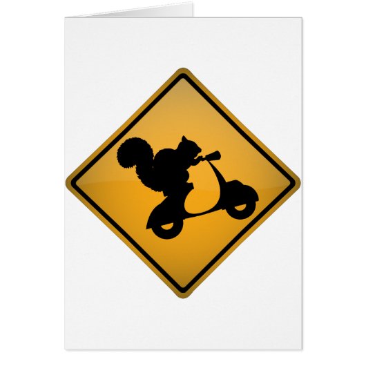 Squirrel on Scooter Cards (Front)