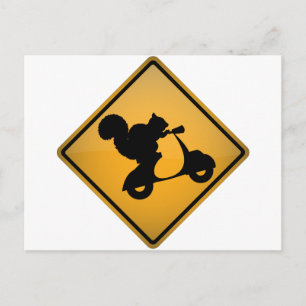 Squirrel on Scooter Postcard