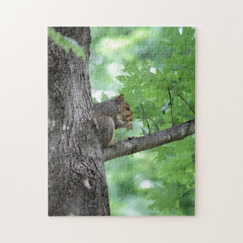 squirrel on the tree  jigsaw puzzle