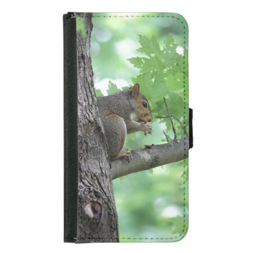 squirrel on the tree samsung galaxy s5 wallet case