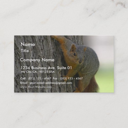 Squirrel On Tree Business Card Templates