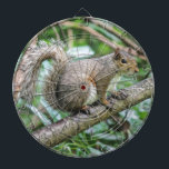 squirrel on tree dartboard<br><div class="desc">squirrel on tree</div>
