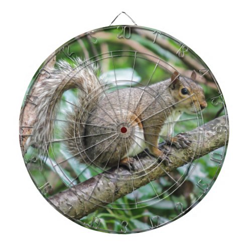 squirrel on tree dartboard