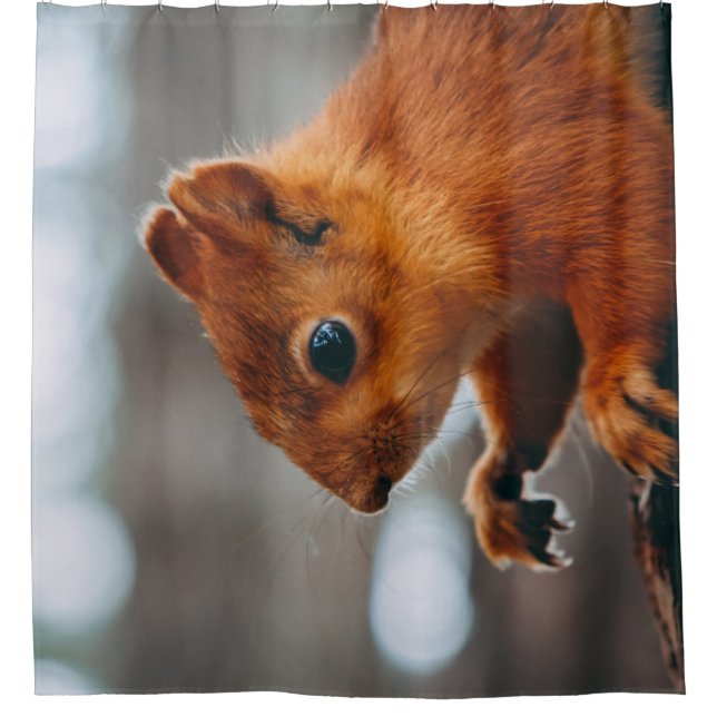 SQUIRREL ON TREE TRUNK SHOWER CURTAIN (Front)