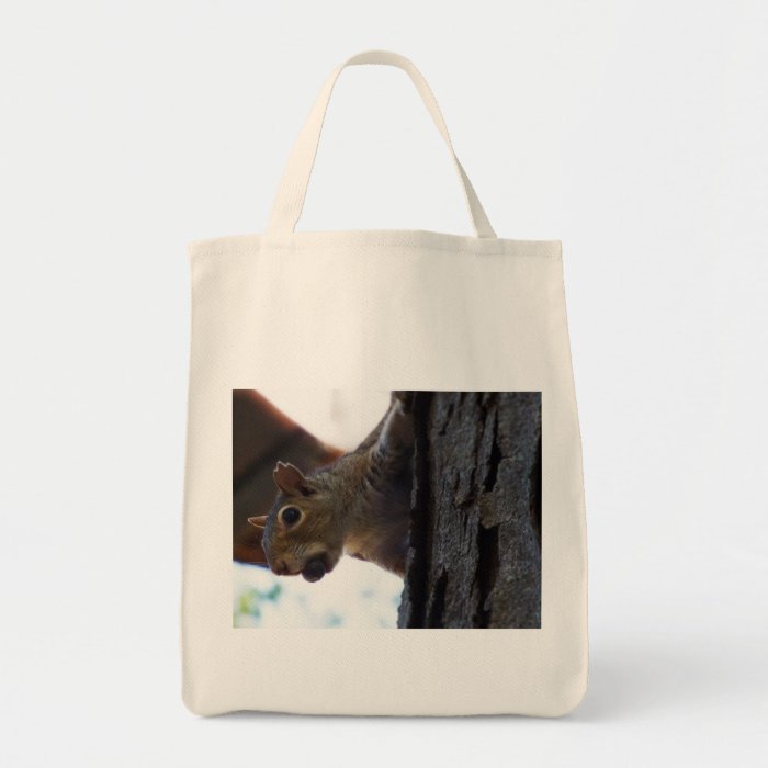 Squirrel on Tree with Nut in Mouth, Closeup Tote Bags