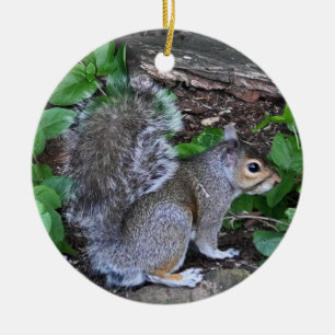 Squirrel Ornament