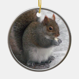 Squirrel Ornament