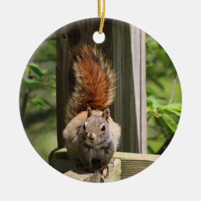 Squirrel ornament (Front)