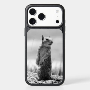 Squirrel iPhone 17 Pro Max Case
