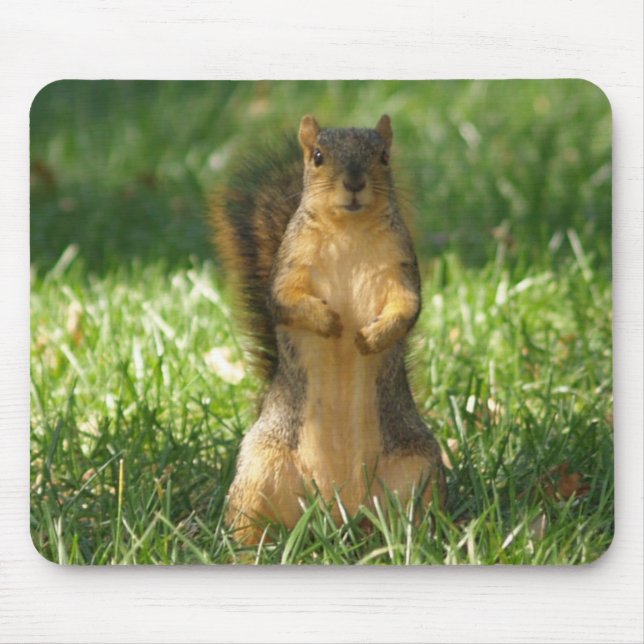 Squirrel Out In The Grass Photo Mouse Pad (Front)