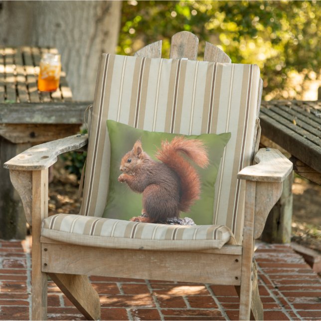 Squirrel Outdoor Pillow (Chair)