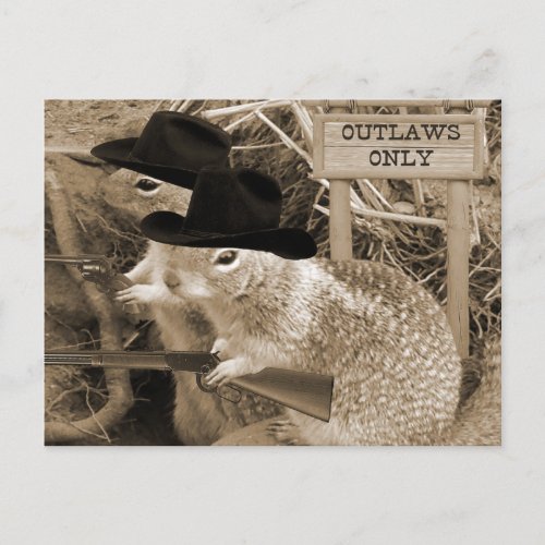 Squirrel Outlaws In The Old West Postcard